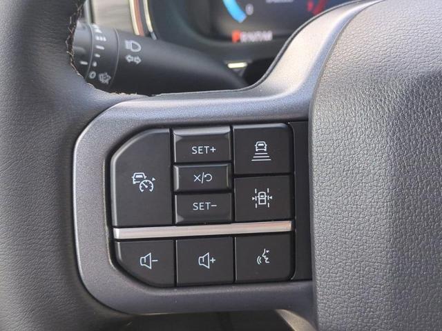 Photo of 2025 Black Metallic Ford F-150
