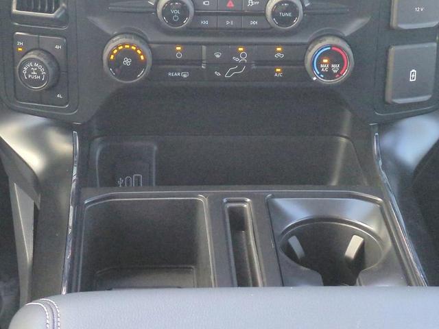 Photo of 2025 Silver Ford F-150