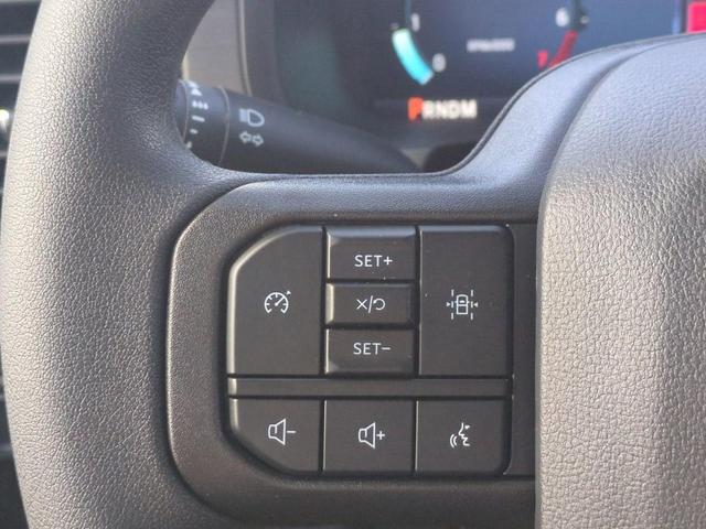 Photo of 2025 Silver Ford F-150