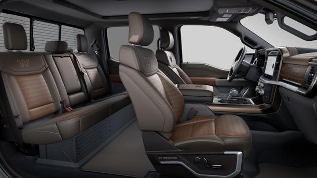 Photo of 2025 Brown Ford F-150