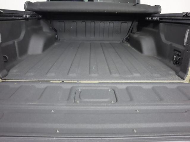 Photo of 2020 Gator Clearcoat Jeep Gladiator