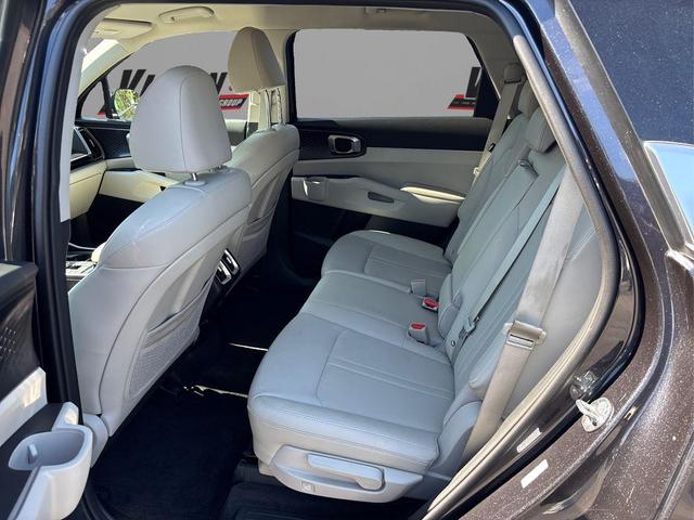 Photo of 2025 Panthera Metal Kia Sorento
