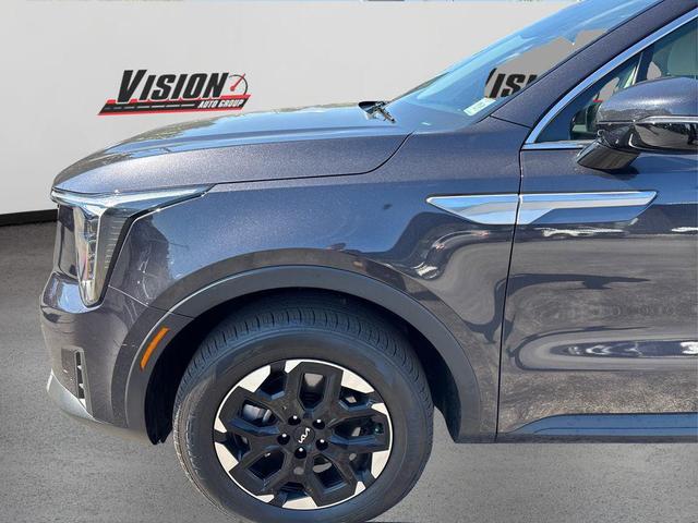 Photo of 2025 Panthera Metal Kia Sorento