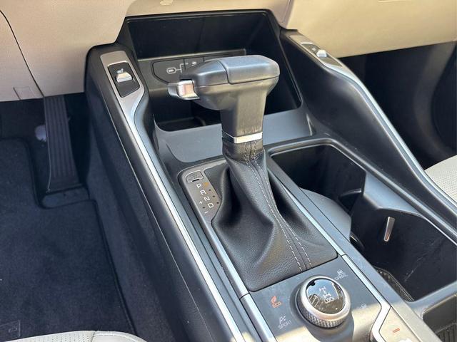 Photo of 2025 Panthera Metal Kia Sorento