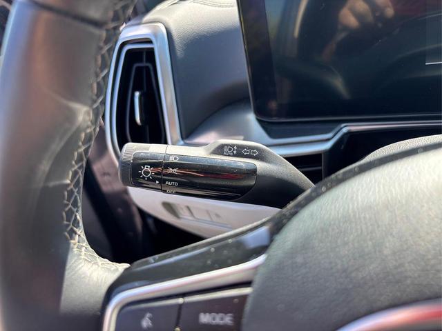 Photo of 2025 Panthera Metal Kia Sorento