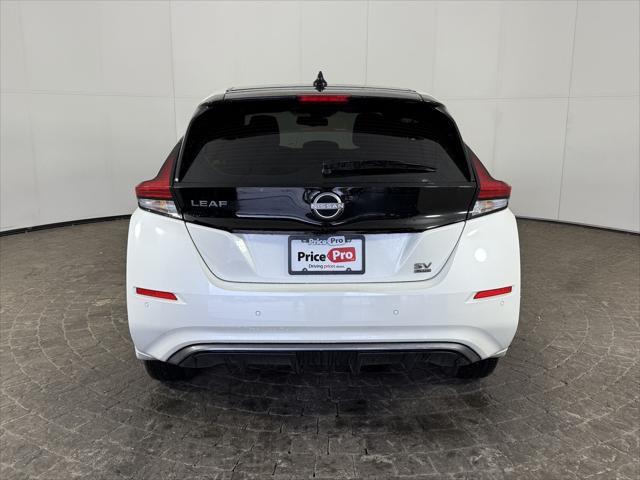 Photo of 2023 Super Black/Pearl White Nissan Leaf