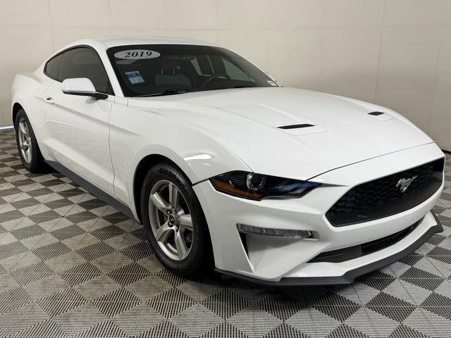 Photo of 2019 Oxford White Ford Mustang