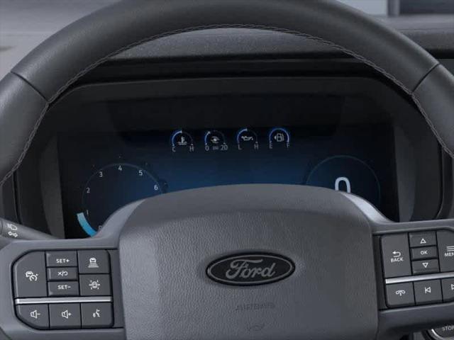 Photo of 2025 Agate Black Metallic Ford F-150