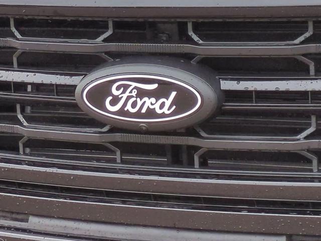 Photo of 2025 Agate Black Metallic Ford F-150