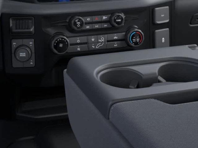 Photo of 2025 Agate Black Metallic Ford F-150