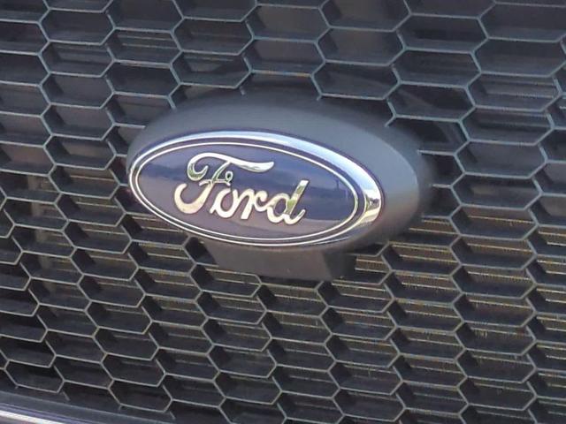 Photo of 2023 White Ford Transit-250