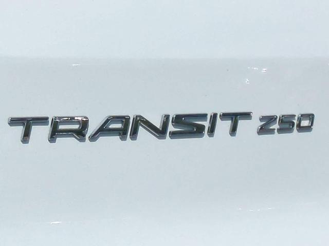 Photo of 2023 White Ford Transit-250