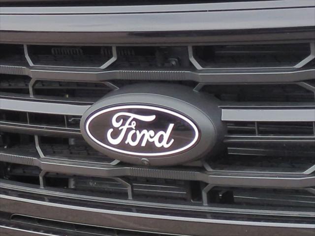 Photo of 2025 Agate Black Metallic Ford F-150