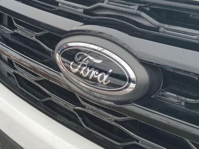 Photo of 2024 Star White Ford Expedition Max