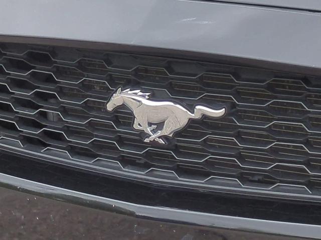 Photo of 2017 Shadow Black Ford Mustang