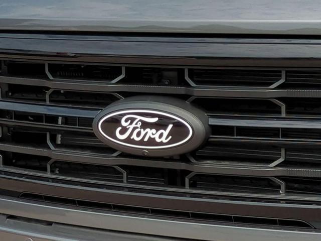 Photo of 2025 Carbonized Gray Metallic Ford F-150