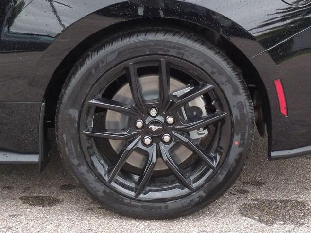 Photo of 2025 Shadow Black Ford Mustang