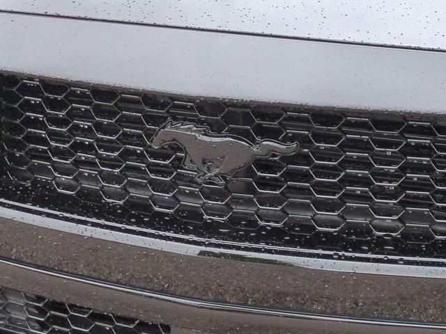 Photo of 2025 Shadow Black Ford Mustang