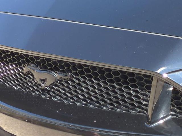 Photo of 2018 Shadow Black Ford Mustang