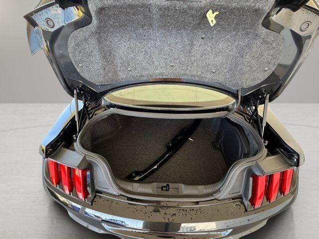 Photo of 2019 Shadow Black Ford Mustang
