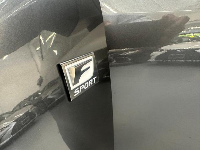 Photo of 2024 Cloudburst Gray Lexus NX 350