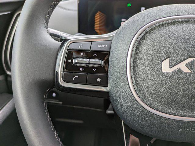 Photo of 2025 Panthera Metal Kia Sorento