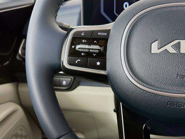 Photo of 2026 Panthera Metal Kia Carnival