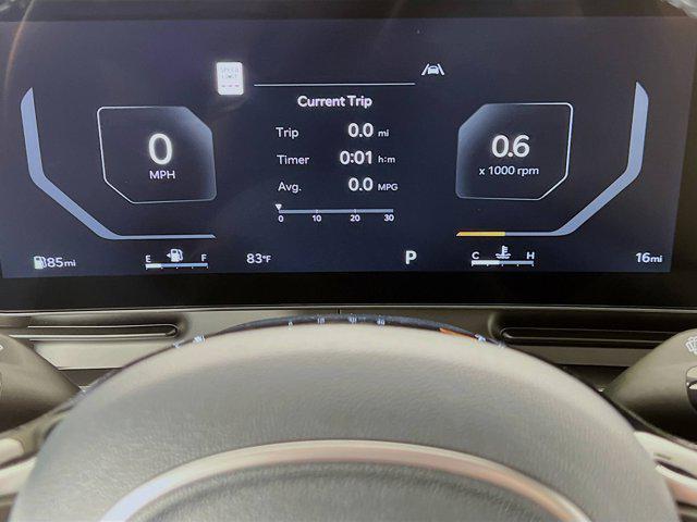 Photo of 2026 Panthera Metal Kia Carnival
