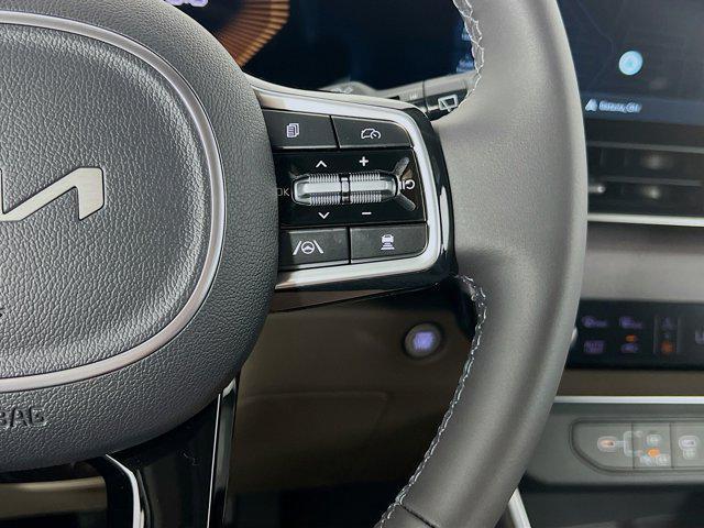 Photo of 2026 Panthera Metal Kia Carnival