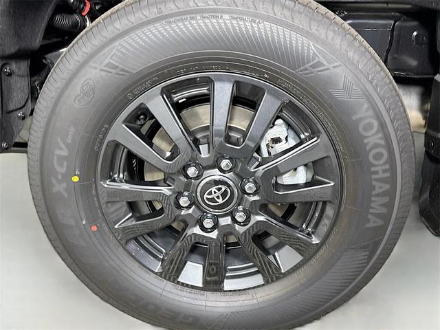 Photo of 2025 Meteor Shower Toyota Land Cruiser