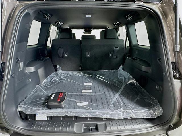 Photo of 2025 Meteor Shower Toyota Land Cruiser