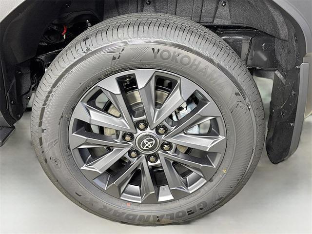 Photo of 2025 Trail Dust Graysca Toyota Land Cruiser