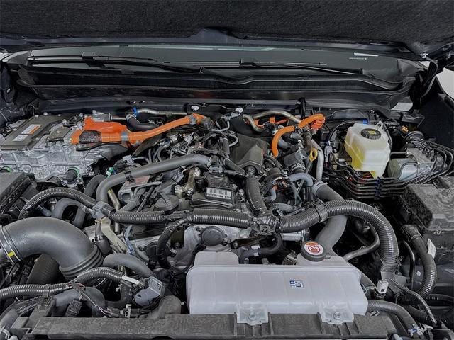 Photo of 2025 Underground Toyota Tacoma