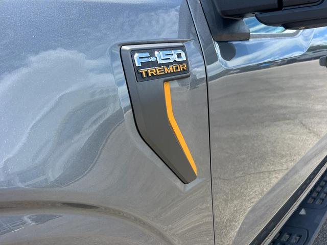 Photo of 2025 Carbonized Gray Metallic Ford F-150