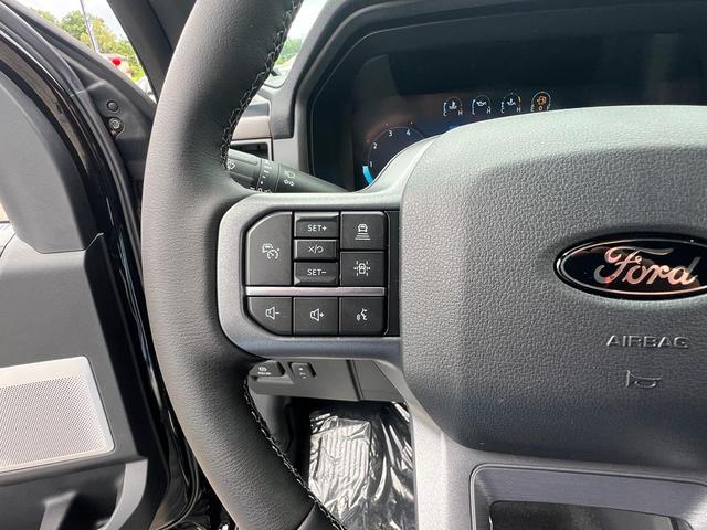 Photo of 2025 Agate Black Metallic Ford F-150