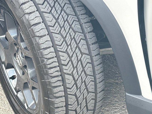 Photo of 2024 Platinum White Pearl Honda Pilot