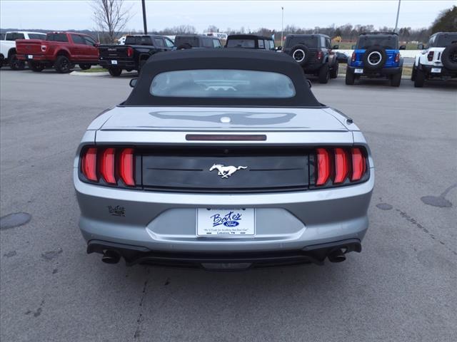 Photo of 2022 Silver Ford Mustang