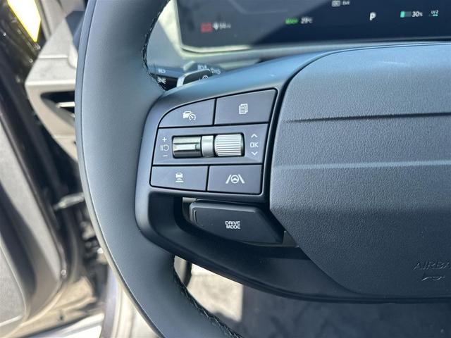 Photo of 2025 Panthera Metal Kia EV6