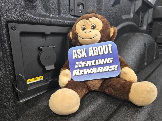 Photo of 2025 Carbonized Gray Metallic Ford F-150