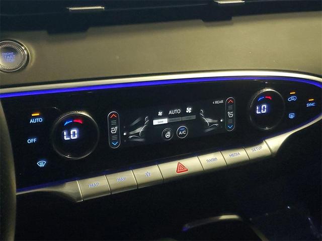 Photo of 2024 Vik Black Genesis GV70