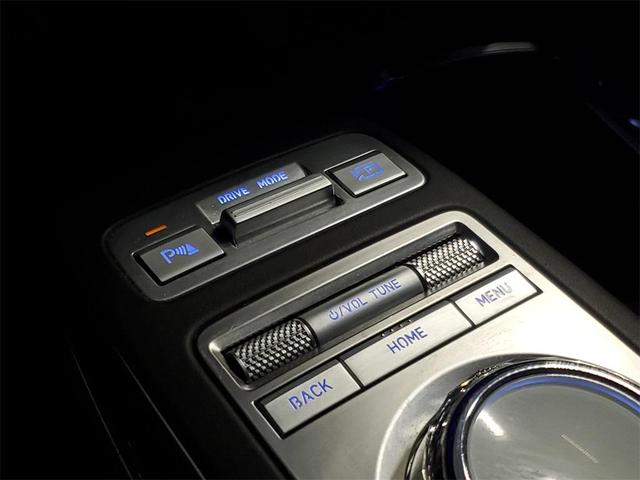 Photo of 2024 Vik Black Genesis GV70