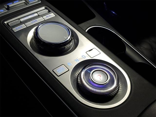 Photo of 2024 Vik Black Genesis GV70