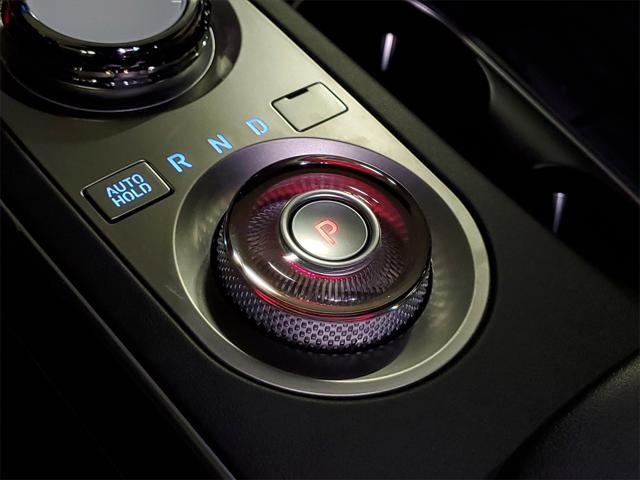 Photo of 2023 Vik Black Genesis GV70
