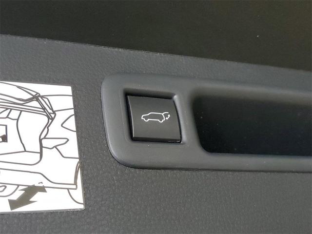 Photo of 2024 Moon Dust Toyota Highlander