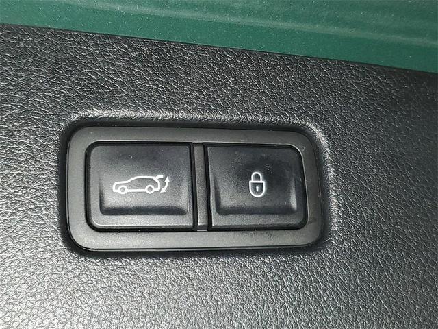 Photo of 2023 Cardiff Green Genesis GV70