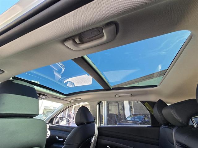 Photo of 2025 Ultimate Red Hyundai TUCSON Hybrid