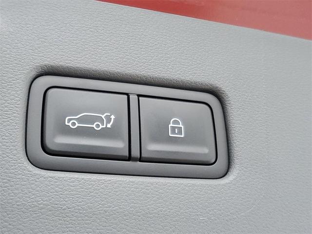 Photo of 2025 Ultimate Red Hyundai SANTA FE
