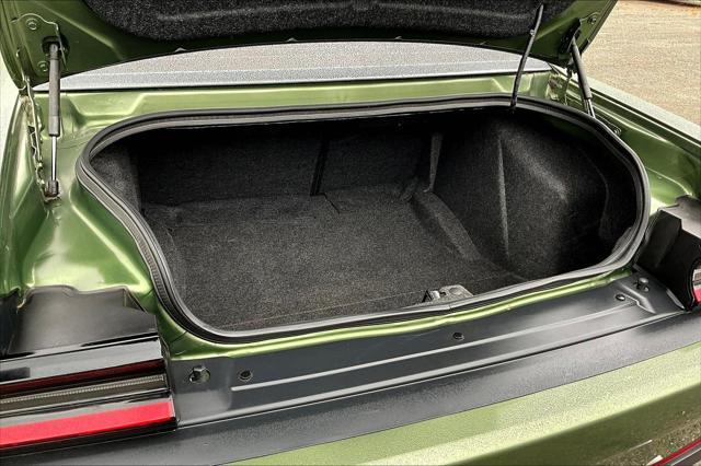 Photo of 2019 F8 Green Dodge Challenger