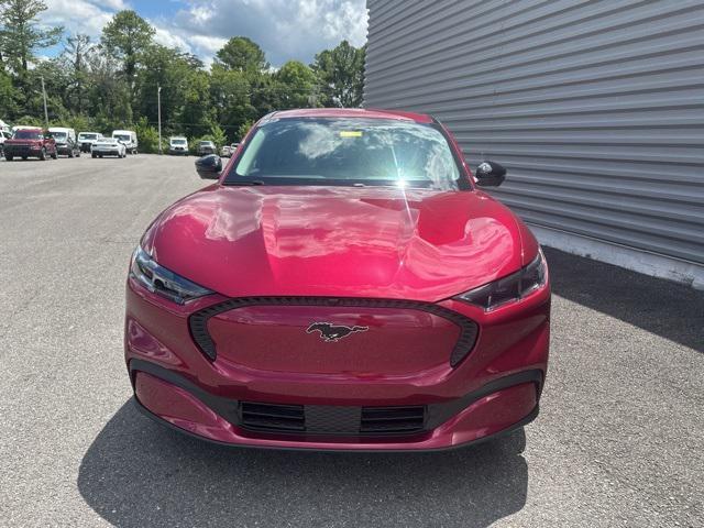 Photo of 2025 Molten Magenta Metallic Tinted Clearcoat Ford Mustang Mach-E