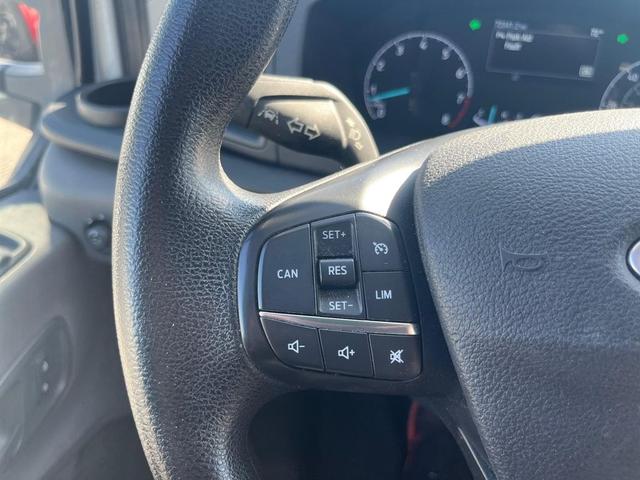 Photo of 2021 White Ford Transit-350